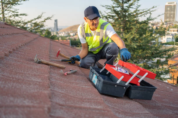 Best Brick Veneer Siding  in Villas, FL